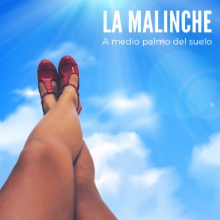 A medio palmo del suelo cover art