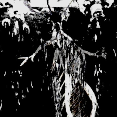 Coiledres cover art