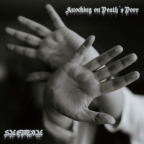 TOP cover art