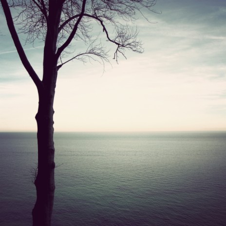 Tree of Life (Original Mix) cover art