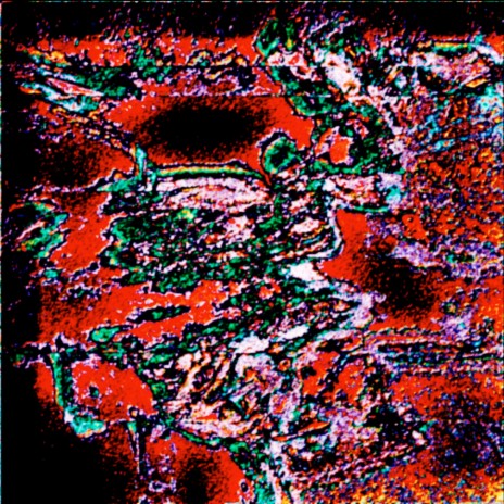 Dusc