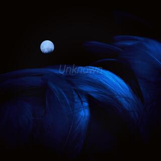 Unknown cover art