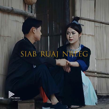 Siab Ruaj Nreeg (instrumental) cover art
