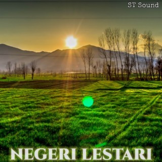ST Sound