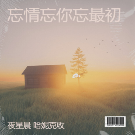 忘情忘你忘最初 (伴奏) ft. 哈妮克收 cover art