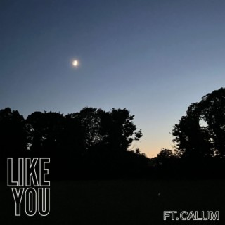 Like You (Single)