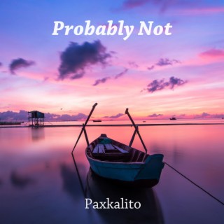 Probably Not cover art