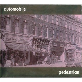 Pedestrian