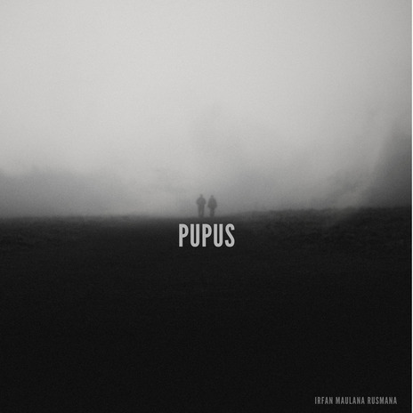 Pupus