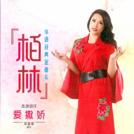你的眼角流着我的泪 cover art
