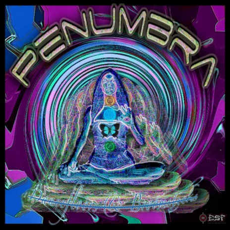 Ayahuasca (Original Mix) cover art