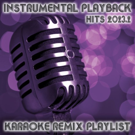 Paint the Town Red (Karaoke Version originally performed by Doja Cat) cover art