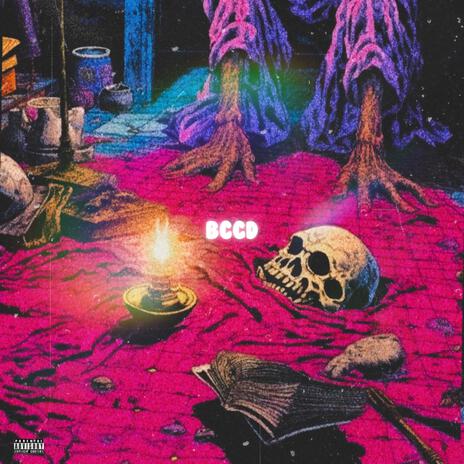 SNL cover art