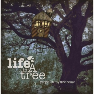 Life in a Tree