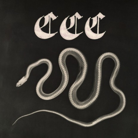 CCC ft. FREDDY FORBIDDEN & Tamaraebi cover art