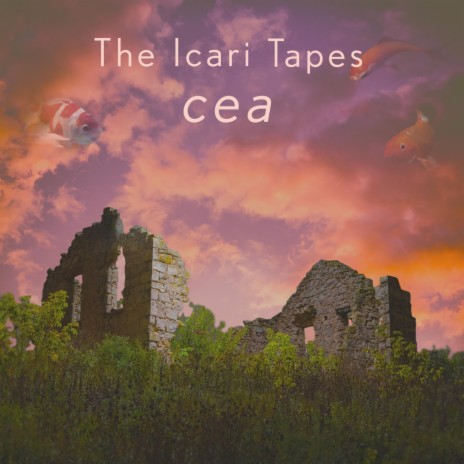 A Joy You Know But Cannot Name cover art