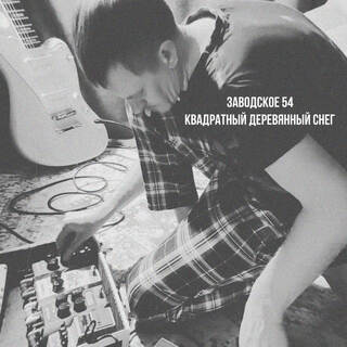 Заводское 54