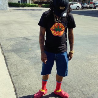 HippyGOD