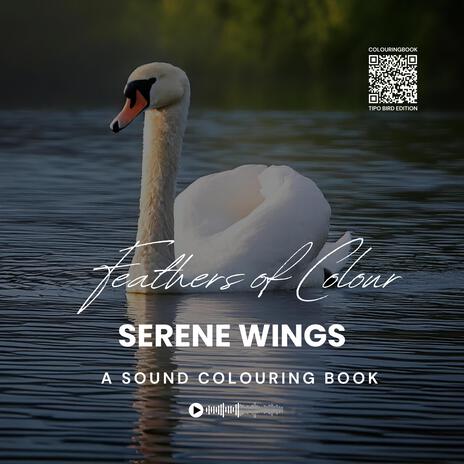 Feathers of Colour: Serene Wings (A Sound Colouring Book) cover art