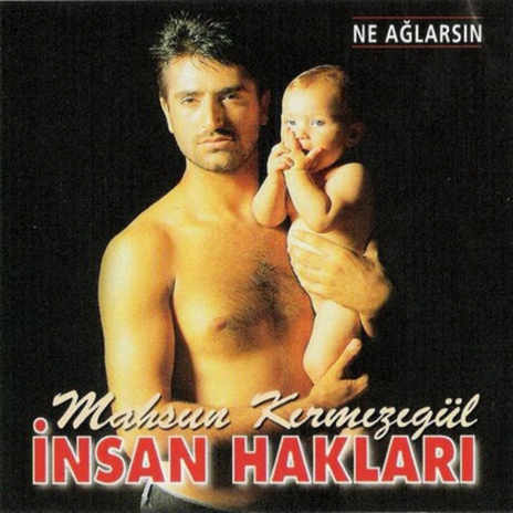 Ne Ağlarsın (Buda Geçer) cover art