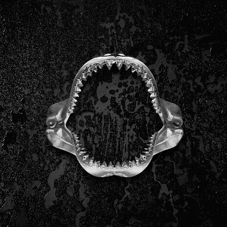 TELL ME IF I'M WRONG (instrumental) ft. BLU, Pugs Atomz, Fashawn & Badge and Talkalot cover art