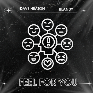 Feel For You (Radio Mix) ft. Blandy cover art