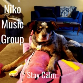 Stay Calm cover art