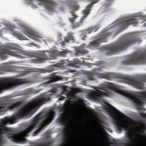 SNF cover art