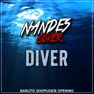 Nandes Cover