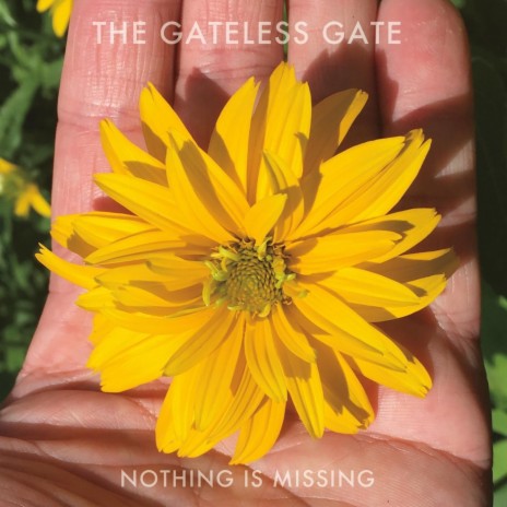 Sitting in Silence, Dancing in Gratitude cover art