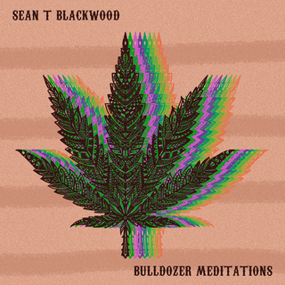 Bulldozer Meditations