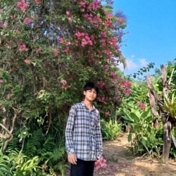 author avatar