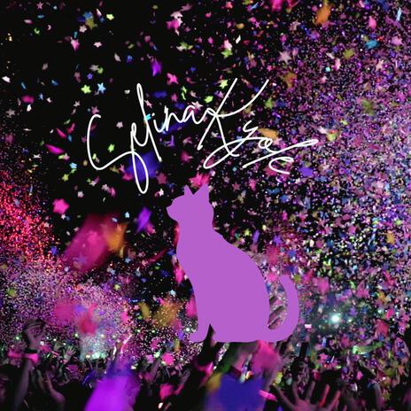 Sunrise cover art