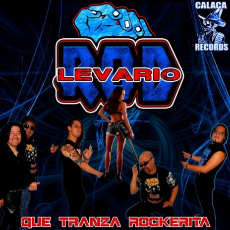 Animal Nocturno