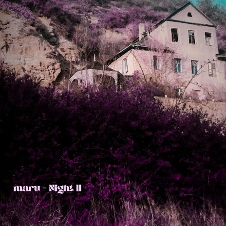 Discipline for beauty cover art