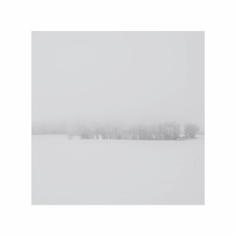 Blanket cover art