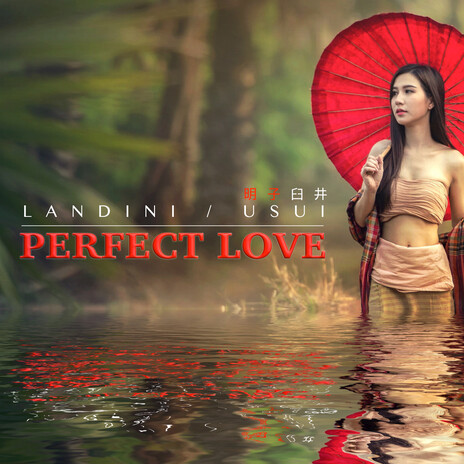 Perfect Love ft. Akiko Usui cover art