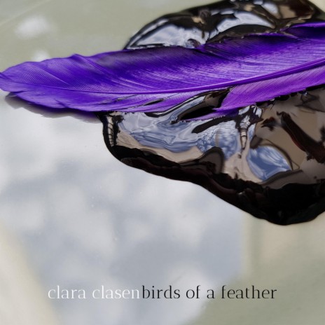 birds of a feather cover art