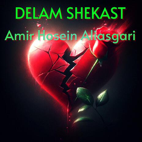 Delam Shekast cover art