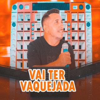 Vai Ter Vaquejada (Ao Vivo) cover art