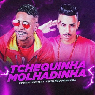 Tchequinha Molhadinha ft. Fernando Problema cover art
