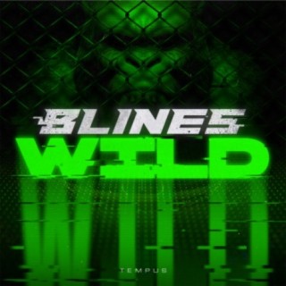 WILD (Original Mix) cover art