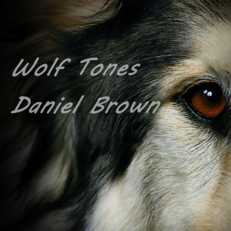 A New Pack cover art