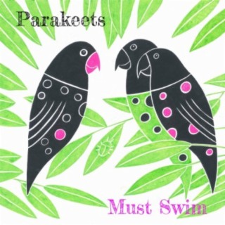 Parakeets