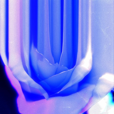 Bed of roses cover art