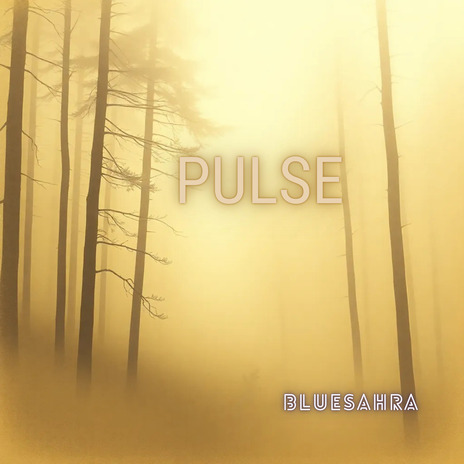 Pulse cover art