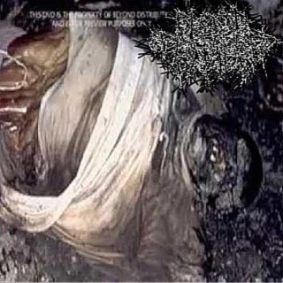 BSB/GORE/DVD