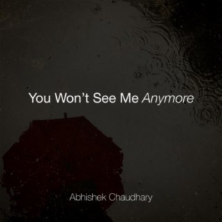 You Won't See Me Anymore cover art