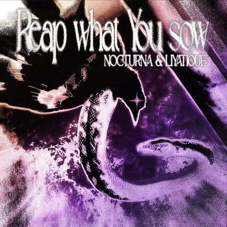 Reap what You Sow ft. Liyatique