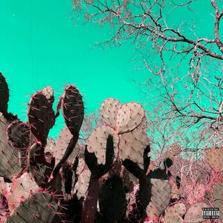 CACTUS COWBOY